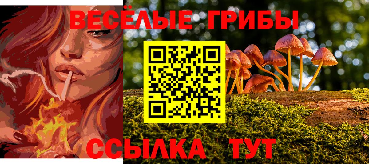 Псилоцибиновые грибы Psilocybine cubensis  Вход с VPN  Курчалой 